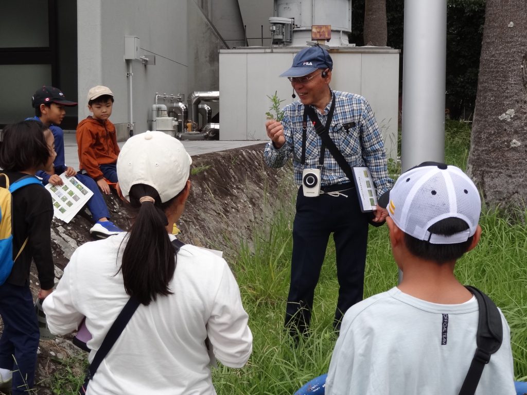 【長崎大学パスポート】会員限定イベント「秋の植物観察会」を実施しました！！！！