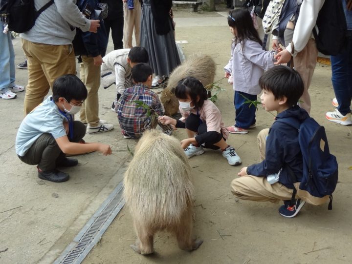 【長崎大学パスポート】会員限定イベント「長崎BIOPARK探検ツアー」を実施しました🦘